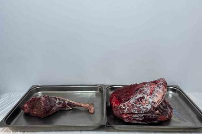 Karaman’da yaban keçisi avlayan şahıslara 954 bin 208 lira ceza