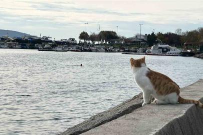 Kartal’da üşüten manzara: İki arkadaş soğukta denize girdi