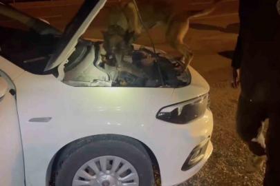 Kastamonu’da uyuşturucu operasyonu: 5 tutuklama