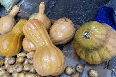 Kendisi ayrı, çekirdeği ayrı şifa kaynağı