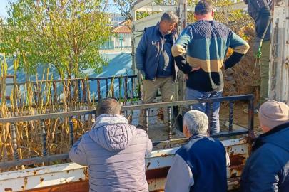 Koçarlı’da üreticiye 4 bin incir fidanı dağıtıldı