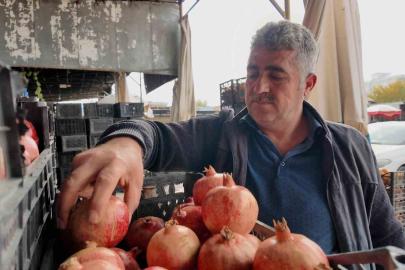 Kuraklık Zivzik narında verimi yarı yarıya düşürdü