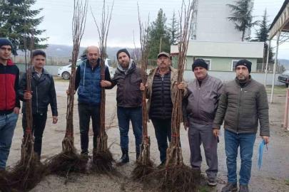 "Meyveciliği Geliştirme" projesi Pazaryeri’nde hayata geçti