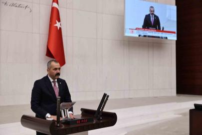 MHP’li Durgun: "Pestisit iddiaları kamuoyunda abartılı şekilde yer buluyor"