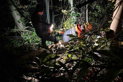 Orman işçisi için ekipler seferber oldu