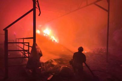 Samanlıktan yükselen alevler, besihaneye ulaşmadan kontrol altına alındı