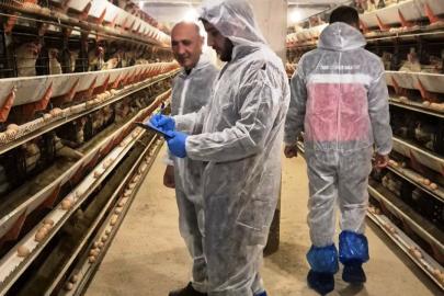 Simav’da ticari yumurtacı tavukçuluk işletmesinde ilk resmi denetim