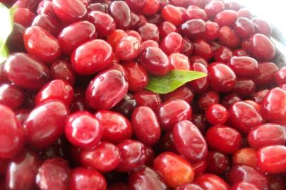 Soğuk algınlığına doğal çözüm: Kızılcık