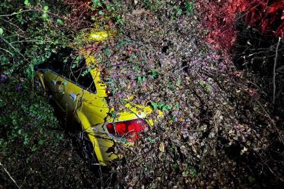 Sürücüsünün içinde olduğu otomobilin üzerine ağaç devrildi