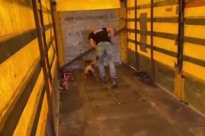 Tırın tabanına binlerce uyuşturucu hap sakladılar