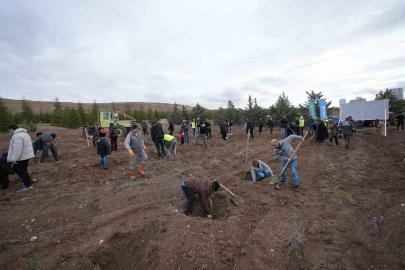 TUSAŞ şehitleri anısına binlerce fidan toprakla buluştu