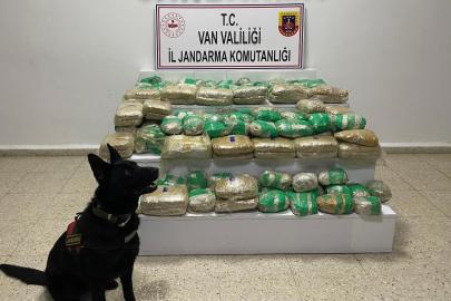 Van’da 51 kilo skunk ele geçirildi