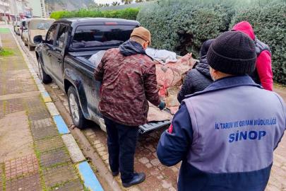 Yasa dışı avlanan kalkanlar, ihtiyaç sahiplerine ücretsiz dağıtıldı