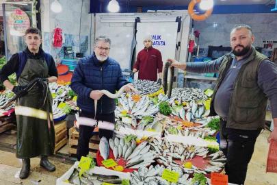 Yılan balıkları7 bin kilometre kat ederek Meksika Körfezi’nden Aydın’a ulaştı