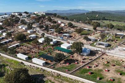 Yunusemre’de sokak hayvanlarına örnek yaşam merkezi