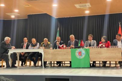 Zeytin üreticileri için destek ve markalaşma önerisi