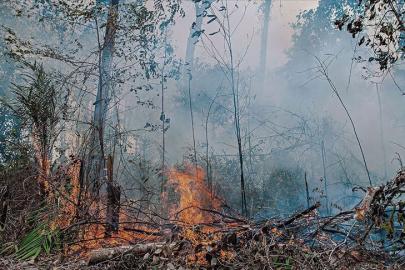 2025, en sıcak üçüncü yıl oldu