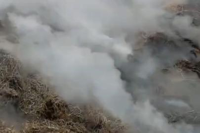 Adana’da samanlık yangını kontrol altına alındı