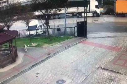 Adana’da silahlı saldırıya uğrayan baba yaralandı, 16 yaşındaki oğlu hayatını kaybetti