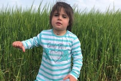 Ağrı'da öldürülen Leyla Aydemir'in amcası tutuklandı