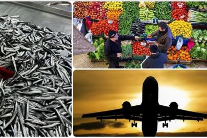 Aralık 2025'te fiyatı en fazla artan ürün 'taze balık' oldu