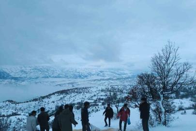 Arıcak’ta yaban hayvanları unutulmadı