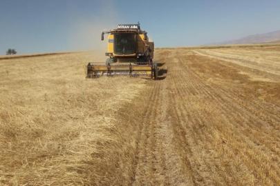Bayburt’ta besici ve yetiştiricilere yemlik arpa satışı yapılacak