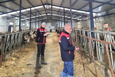 Besicilik işletmelerine yönelik ‘kapasite ölçümleri’ devam ediyor