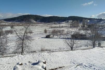 Buldan’da yılın ilk karı üreticileri sevindirdi