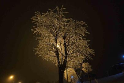 Elazığ’da ağaçlar kırağı tuttu
