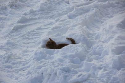 Eski kışlar geri geldi, Kızılırmak’ın yüzeyi kısmen dondu