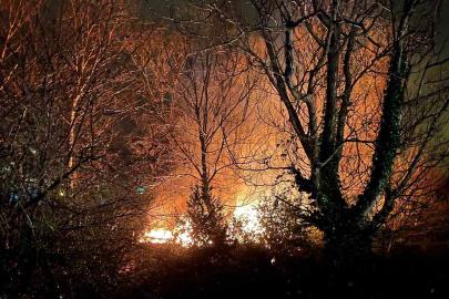 Filyos’ta ağaçlık alanda çıkan yangın korkuttu