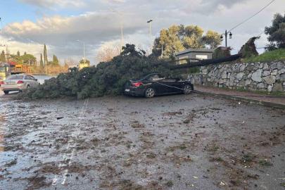 Gebze’de fırtınada iki otomobilin üzerine ağaç devrildi