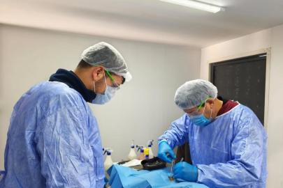 Germencik Belediyesi sokak hayvanları için kısırlaştırma çalışmalarını sürdürüyor