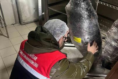 Gıda üretim ve satışı yapan işletmelerine yönelik denetim