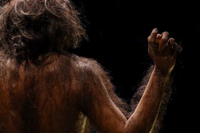 İnsanlığın en eski atası bulunmuş olabilir