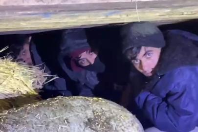 Kars’ta saman balyaları arasından kaçak göçmen çıktı: 1 tutuklama