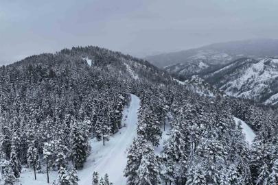 Kastamonu ormanlarında kış güzelliği