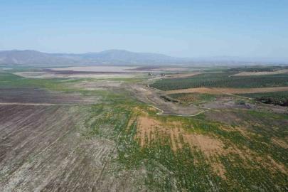 Manisa’da kuruyan Marmara Gölü yeniden canlanıyor