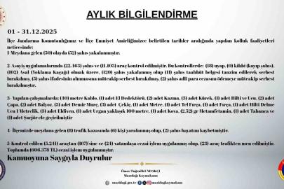 Mazıdağı’nda aralık ayı asayiş raporu açıklandı: 172 şahıs yakalandı