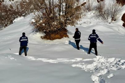 Mutki Belediyesi zorlu kış şartlarında yaban hayatını unutmadı