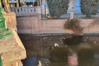 Porsuk’un donduğunun resmidir