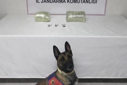 Şanlıurfa’da 2 kilo kubar esrar ele geçirildi: 1 gözaltı