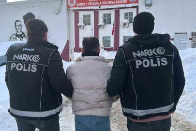 Şırnak’ta kesinleşmiş hapis cezası bulunan şahıs yakalandı