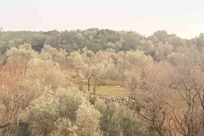 Tarlada aniden fenalaşan bir kişi hayatını kaybetti