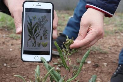 Tüketicilere güvenli ürünler için ticari adlarda düzenleme