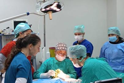 Veteriner Fakültesinde 3 bin hayvana şifa